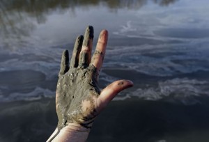 coalash