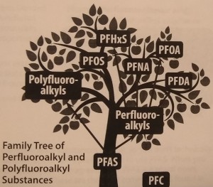 pfasfamilytree