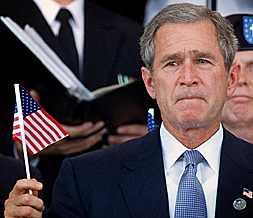 Bush